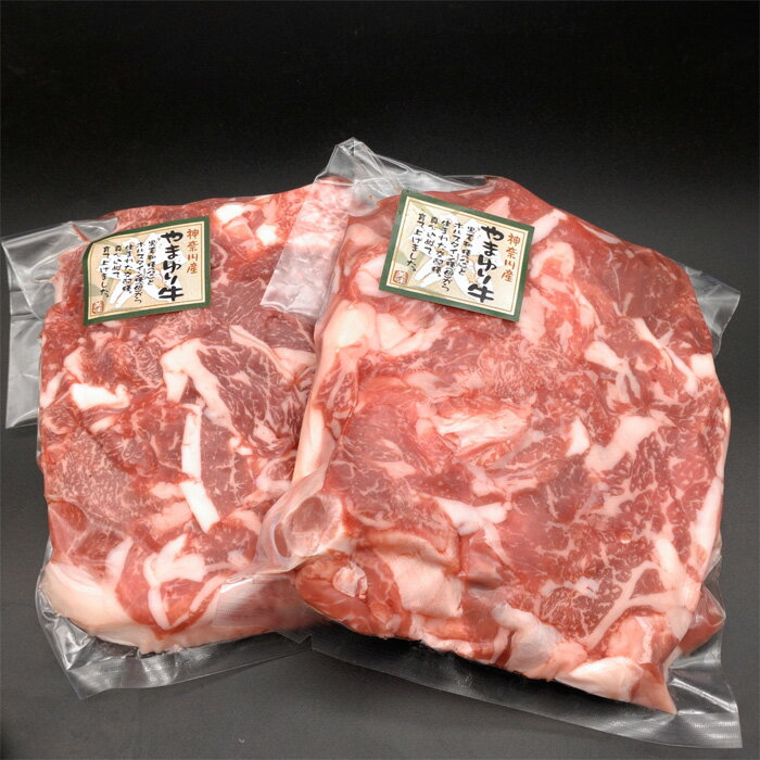 神奈川県厚木市の画像2