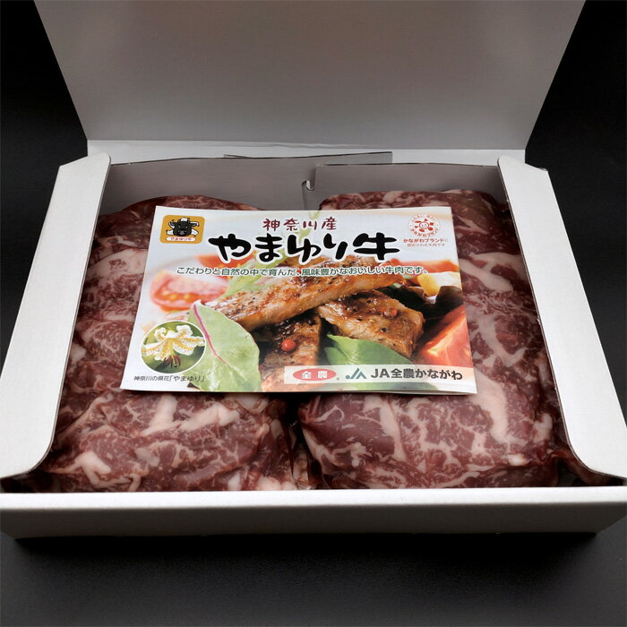 神奈川県厚木市の画像3