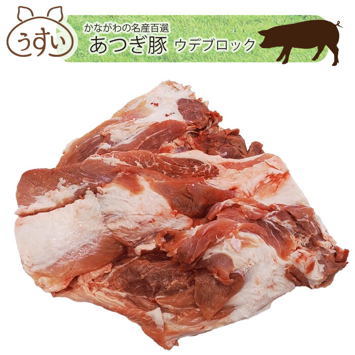 【ふるさと納税】 かながわの名産100選　あつぎ豚　ウデブロック ／ ブランド豚 お肉 甘み 鮮度 品質 豚肉 ぶた肉 送料無料 神奈川県