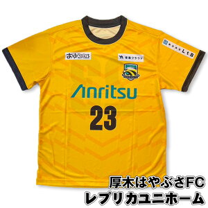 【ふるさと納税】厚木はやぶさFC レプリカユニホーム / サッカー ユニフォーム スポーツ 2024シーズン 送料無料 神奈川県