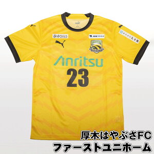 【ふるさと納税】厚木はやぶさFC ファーストユニホーム / サッカー ユニフォーム スポーツ 2024シーズン 送料無料 神奈川県