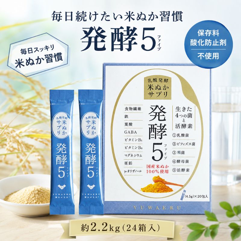 【ふるさと納税】毎日続けたい米ぬか習慣「発酵5」　24箱入り　約2.2kg ／ 発酵米ぬかサプリ 乳酸菌 ビフィズス菌 糀菌 酵母 GABA 顆粒 スティック 持ち運び 腸活 植物発酵エキス 玄米代替 栄養補助食品 発酵食品 送料無料 神奈川県