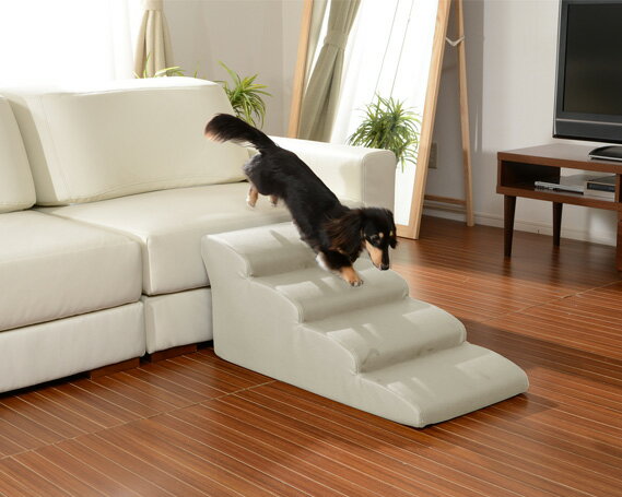 神奈川県厚木市の画像2