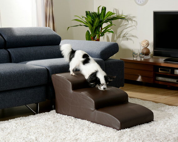 神奈川県厚木市の画像2