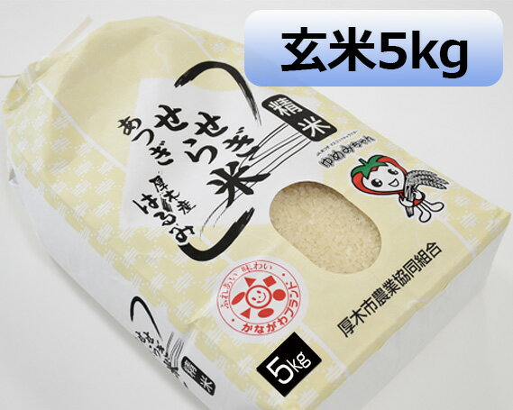 【ふるさと納税】厚木産はるみ玄米5kg/お米ブランド米特A健康送料無料神奈川県