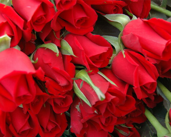 ※返礼品についてなるべく早めの発送を心がけておりますが、入金を確認してから発送までに1ヵ月以上お時間いただく場合がございます。配送日時指定のご希望や事前連絡等の対応はいたしかねますので予めご了承の程宜しくお願い致します。※返礼品の送付は、神...