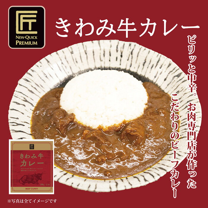 【ふるさと納税】ニュー・クイックオリジナルカレーセット ／ カレー レトルト セット きわみ牛 ビーフカレー 詰め合わせ 常温保存 家庭用 簡単調理 厚木市 f142123-atsugi-10000724 神奈川県厚木市 サンプル画像2