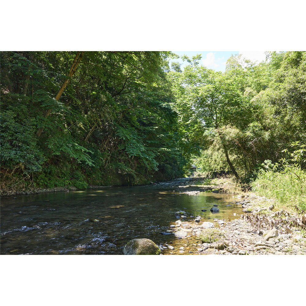 神奈川県厚木市の画像3