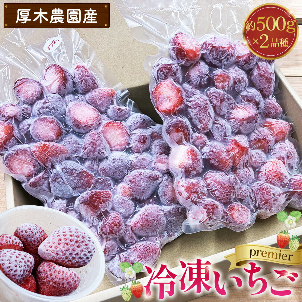 厚木農園産 プレミア冷凍いちご(1kg) / フルーツ 苺 冷凍苺 2品種 飯山 自然 栽培 丁寧 選別 送料無料 神奈川県