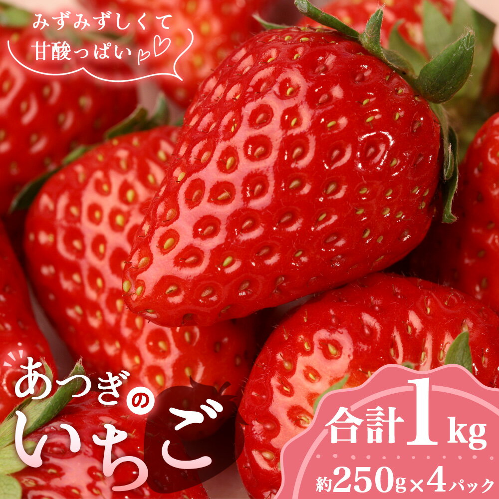 あつぎのいちご(4パック)[2026年2月発送] / 苺 品種おまかせ 紅ほっぺ 恋みのり もういっこ 旬 新鮮 フルーツ 果物 農家直送 甘い みずみずしい 国産フルーツ 送料無料 厚木市産 神奈川県