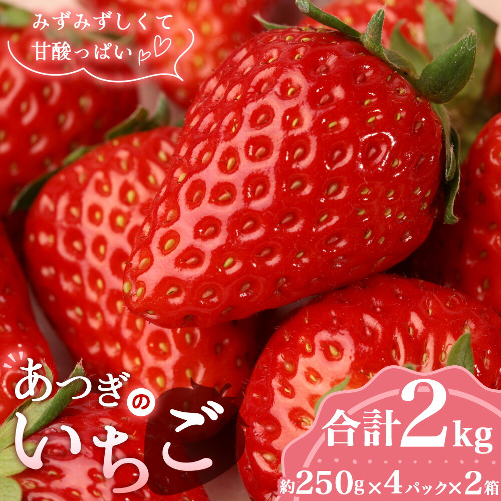 【ふるさと納税】あつぎのいちご（4パック×2箱）【2026年2月発送】 ／ 苺 品種おまかせ 紅ほっぺ 恋みのり もういっこ 旬 新鮮 フルーツ 果物 農家直送 甘い みずみずしい 国産フルーツ 送料無料 厚木市産 神奈川県