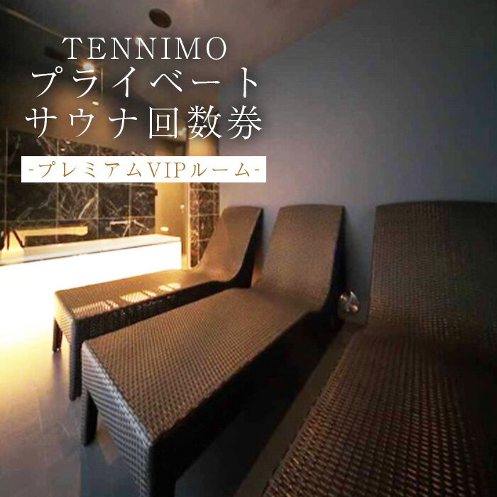 【ふるさと納税】 【プライベートサウナTENNIMO】【回数