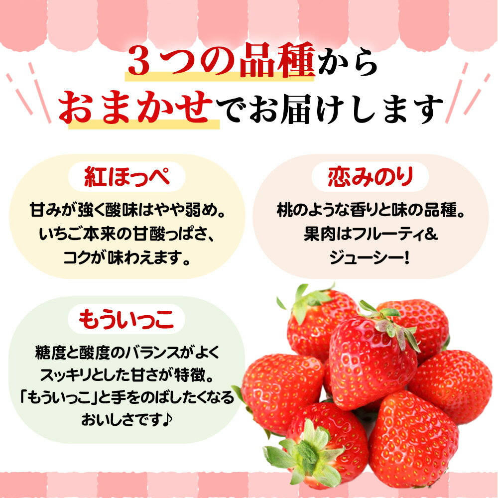 【ふるさと納税】あつぎのいちご（4パック×2箱）【2026年2月発送】 ／ 苺 品種おまかせ 紅ほっぺ 恋みのり もういっこ 旬 新鮮 フルーツ 果物 農家直送 甘い みずみずしい 国産フルーツ 送料無料 厚木市産 神奈川県