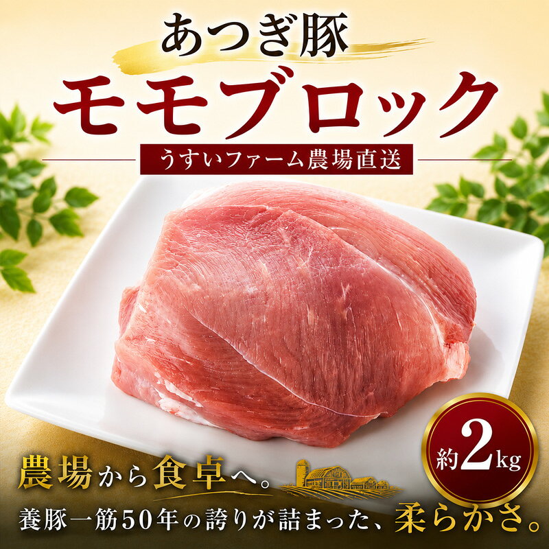 豚肉 モモ ブロック 約2kg 10,000円 国産 豚 冷蔵 豚モモ やわらか 赤身 ブランド豚 国産 あつぎ豚 神奈川県 厚木市 株式会社うすいファーム