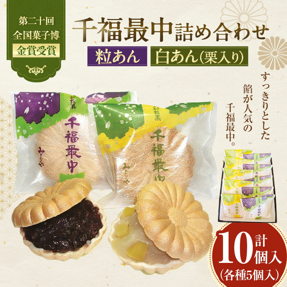 神奈川県大和市の画像2