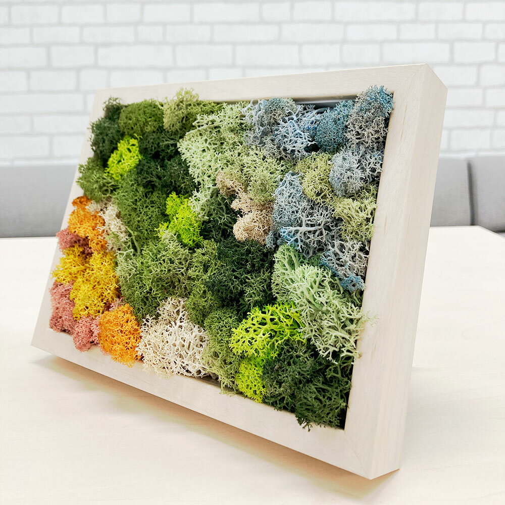 神奈川県大和市の画像3