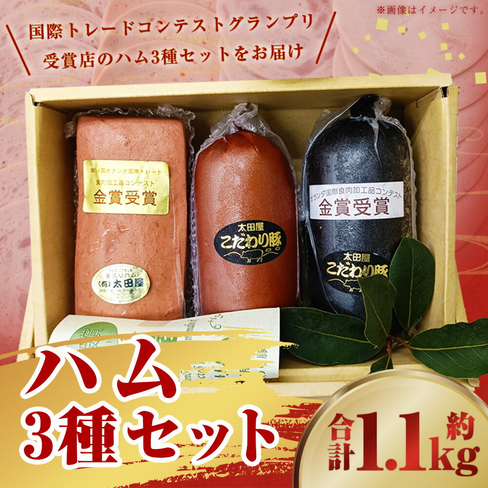 神奈川県大和市の画像2