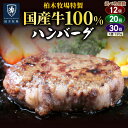 神奈川県伊勢原市の画像1