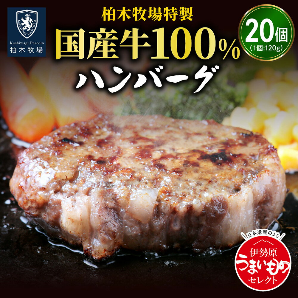 【ふるさと納税】柏木牧場特製 国産牛100% ハンバーグ (120g×20個) ジュワッと肉汁まで美味い！｜ギフト 贈り物 人気 お土産 正月 肉の日 バーベキュー 冷凍便 惣菜 牛肉 焼くだけ 牛肉100％ 国産 [0068]のサムネイル
