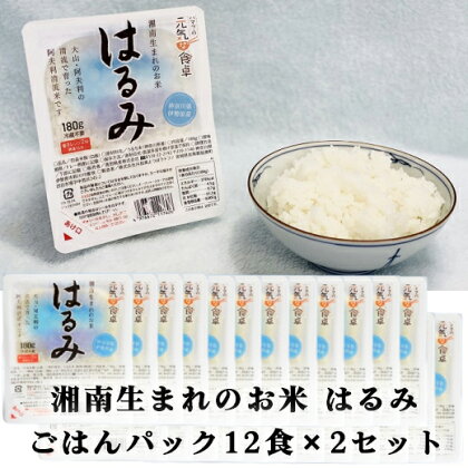 湘南生まれのお米【はるみ】ごはんパック12食×2箱｜米 パックごはん ギフト 贈りもの お手軽 保存食 ブランド米 [0136]