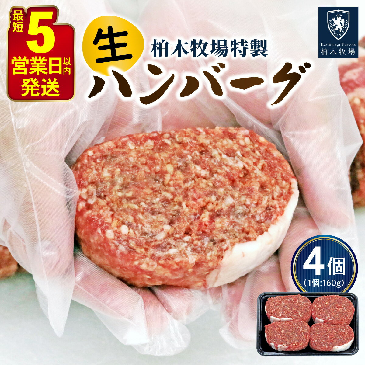 【ふるさと納税】柏木牧場特製 生ハンバーグ 160g×4個 [国産牛100%] ジュワッと肉汁まで美味い！(冷蔵配送)｜国産 ハンバーグ 冷蔵 グルメ ギフト お惣菜 惣菜 [0354]のサムネイル