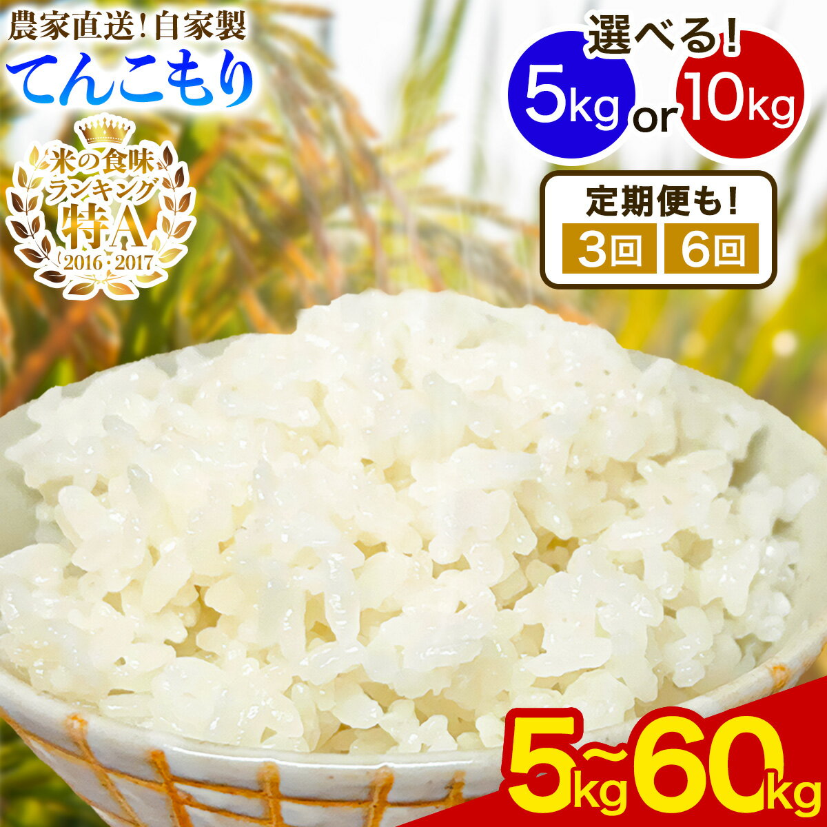 新米 [令和7年産] 伊勢原産 精米5kg/10kg [1回配送/定期便 3ヶ月/6ヶ月連続] てんこもり 農家直送!加藤さんちのうんめぇ!自家製米 選べる内容量|先行予約 お米 おこめ コメ 白米 神奈川 伊勢原 [0525-0527] [0743-0747]