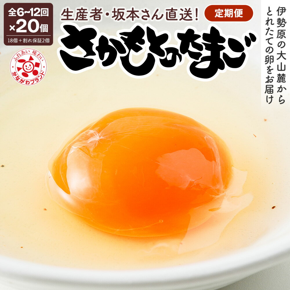 【ふるさと納税】《選べる回数》[定期便／6ヶ月・12ヶ月] さかもとのたまご 20個 (18個＋割れ保証2個) ..