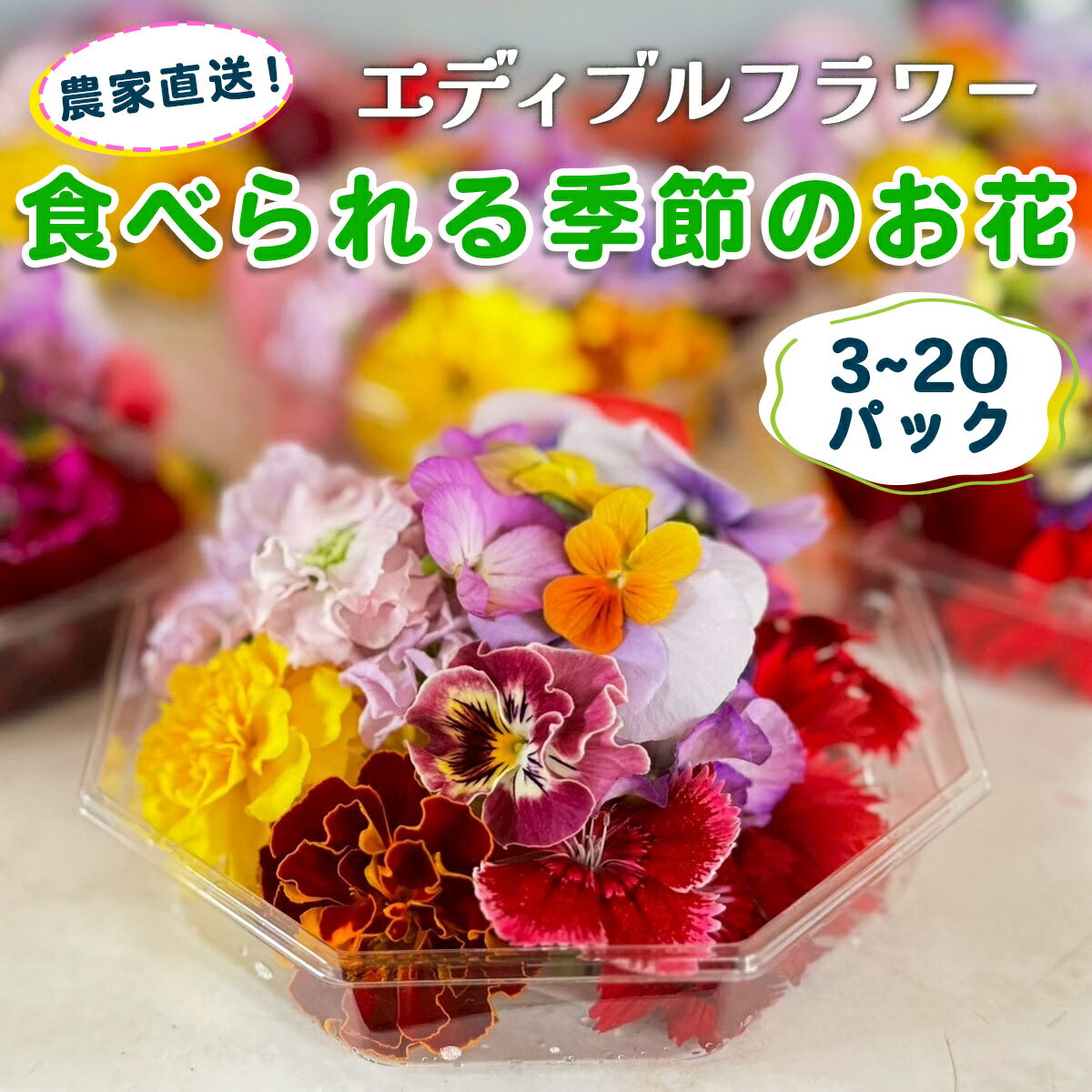 農家直送!加藤さんちのエディブルフラワー[選べるパック数:3パック/5パック/10パック/15パック/20パック](1パックあたり季節のお花15輪から30輪)|食用 花 お花 野菜 トッピング 付け合わせ [0762-0767]