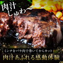 神奈川県伊勢原市の画像2