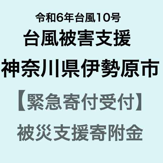 【令和6年台風10号被害支援緊急寄附受付】神奈川県伊勢原市災害応援寄附金（返礼品はありません）