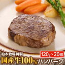 【ふるさと納税】[ジュワッと肉汁まで美味い！] 柏木牧場 特製 国産牛100% ハンバーグ (120g×20個) [0068] 伊勢原市 牛肉 特製 ギフト 神奈川県 贈り物 人気 お土産 正月 肉の日 バーベキュー パーティ 冷凍便 惣菜 肉 焼くだけ