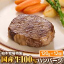 8位! 口コミ数「5件」評価「4.6」[ジュワッと肉汁まで美味い！] 柏木牧場 特製 国産牛100% ハンバーグ (120g×12個) [0067] 伊勢原市 牛肉 特製 ギフト･･･ 