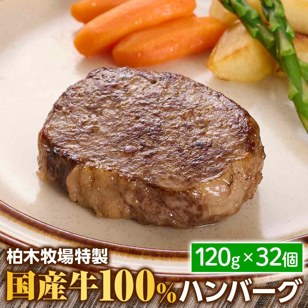 【ふるさと納税】[ジュワッと肉汁まで美味い！] 柏木牧場 特製 国産牛100% ハンバーグ (120g×32個) [0069] 伊勢原市 牛肉 特製 ギフト 神奈川県 贈り物 人気 お土産 正月 肉の日 バーベキュー パーティ 冷凍便 惣菜 肉 焼くだけのサムネイル