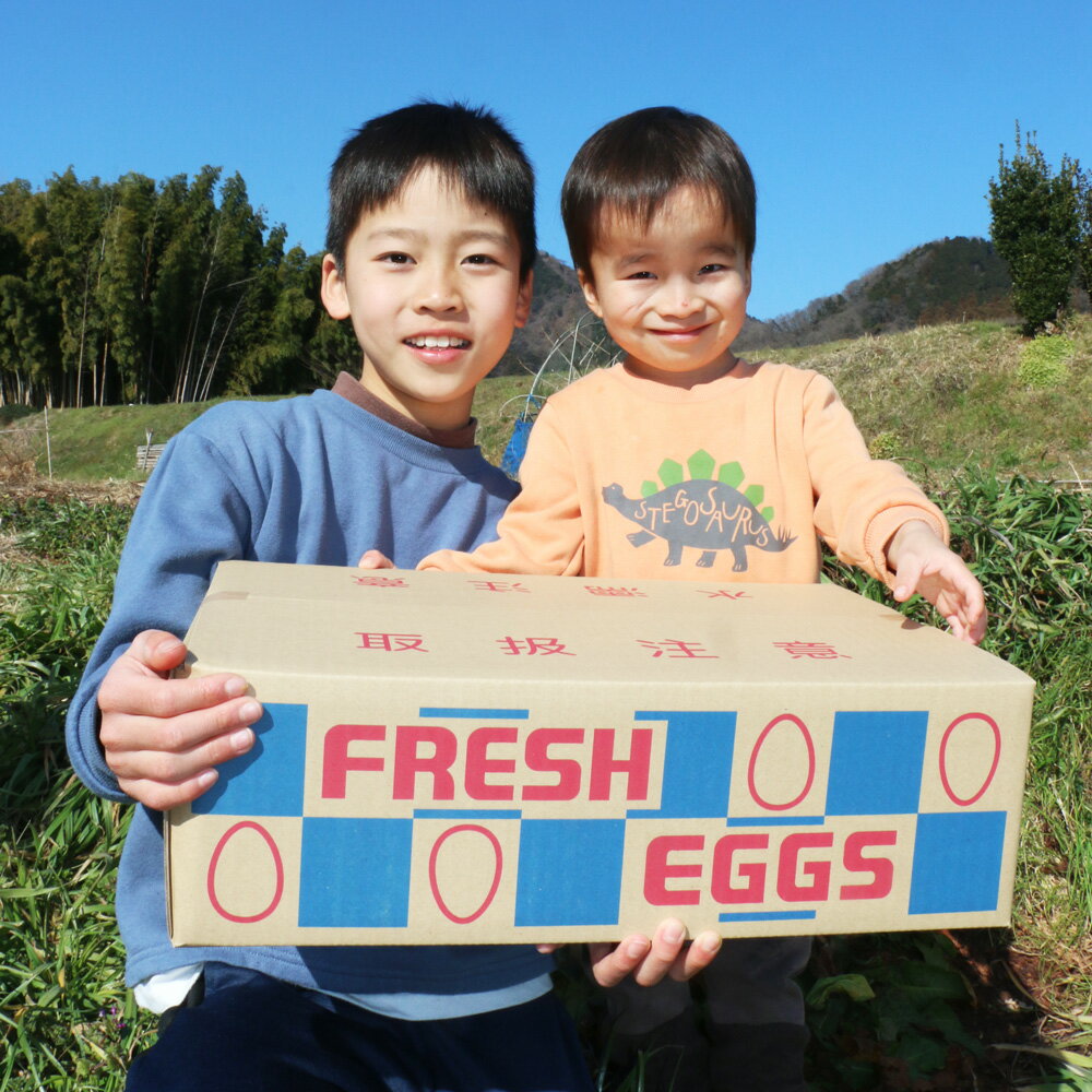 【ふるさと納税】[数量限定] 坂本養鶏 大山の麓で育ったさかもとのたまご 100個 [0091] 伊勢原市 赤玉卵 玉子 鶏卵 生卵 国産 TKG タマゴ 新鮮