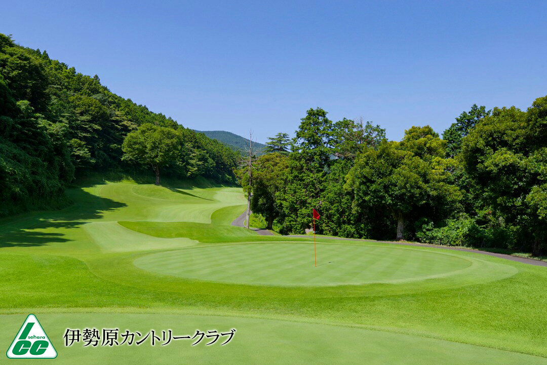 【ふるさと納税】神奈川県伊勢原市の対象ゴルフ場で使える楽天GORAクーポン 寄付額70,000円 [0701]