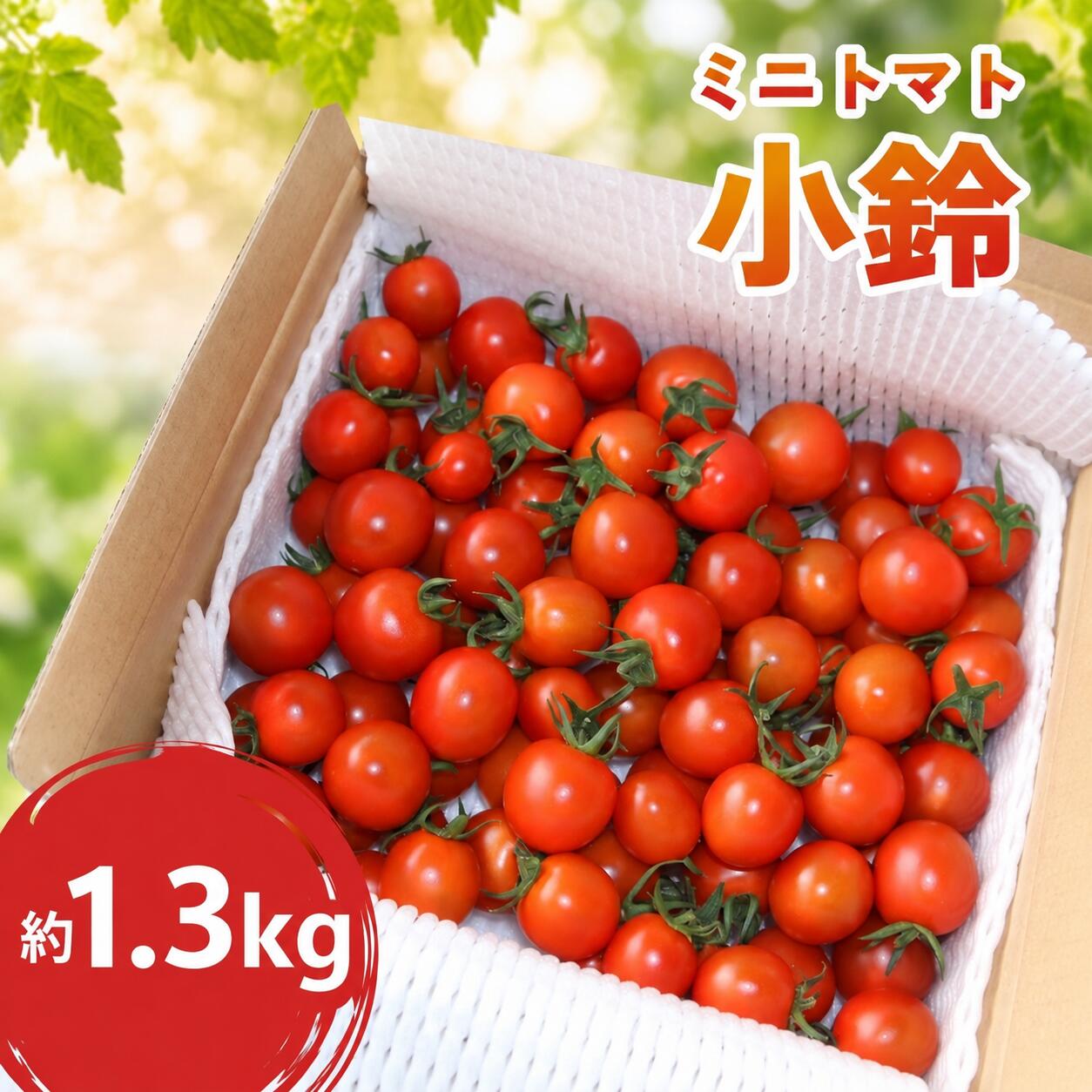 【ふるさと納税】 ミニトマト 小鈴 1.3kg【 2027年 先行予約 】 野菜 やさい 果物 とまと tomato プチトマト こすず 甘い リコピン トマト フルーツ 甘み 酸味 産地直送 国産 数量限定 人気 限定 農家直送 サラダ トマトソース ミネストローネ 鴨志田農園 神奈川 海老名