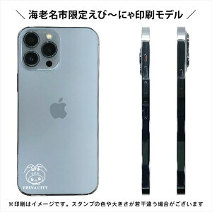 【ふるさと納税】【数量限定品】iPhone13 Pro Max 256GB シエラブルー 【中古再生品】 【 家電・パソコン・タブレット 神奈川県 海老名市 】