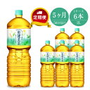 3位! 口コミ数「8件」評価「5」定期便 5カ月　爽健美茶 2L×6本セット【配送不可地域：北海道・九州・沖縄・離島】【お茶 ペットボトル 飲料 緑茶 定期便 5カ月 爽健美･･･ 