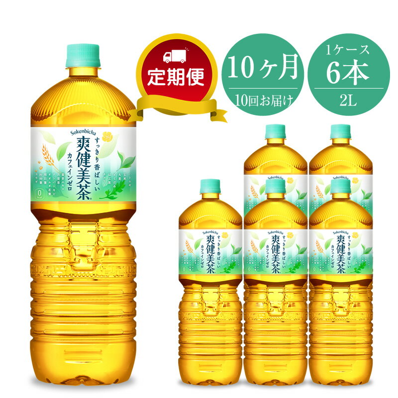 【ふるさと納税】定期便 10カ月 爽健美茶 2L×6本セット