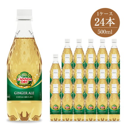 カナダドライ ジンジャーエール500ml×24本5826-0294【配送不可地域：北海道・九州・沖縄・離島】【ジュース ペットボトル 炭酸 カナダドライ ジンジャーエール500ml×24本5826-0294 楽しさに華添えるドライな刺激 神奈川県 海老名市 】