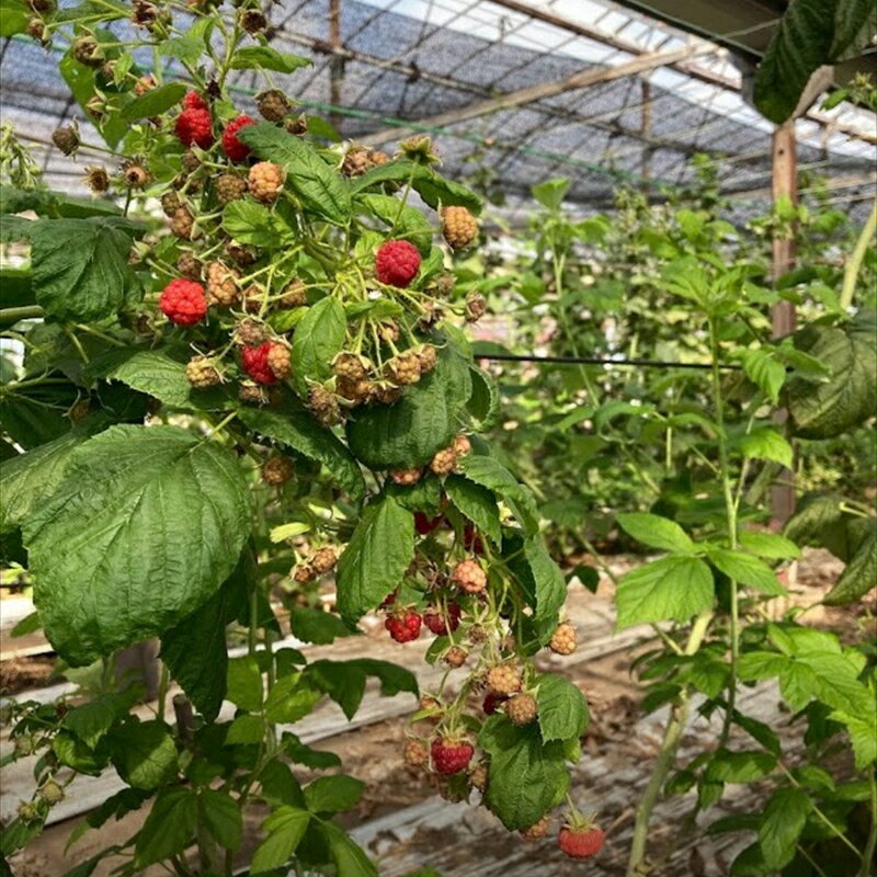 神奈川県海老名市の画像2
