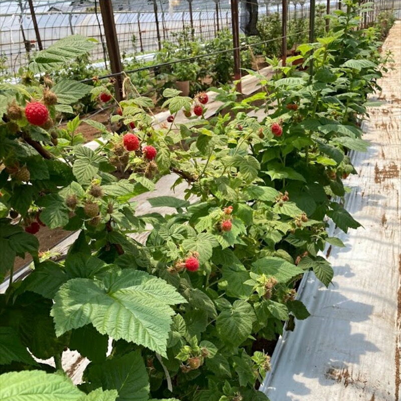 神奈川県海老名市の画像3