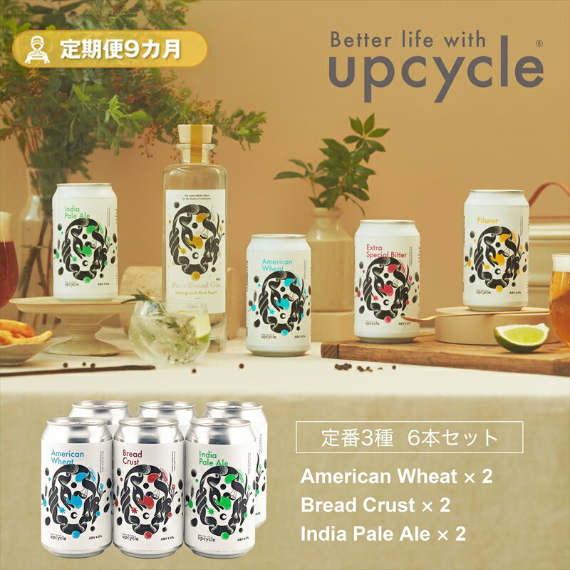 【ふるさと納税】【定期便9カ月】サスティナブル・クラフトビール 飲み比べ3種 6本セット 【 クラフトビール ギフト おうち時間 グランピング キャンプ プレゼ...