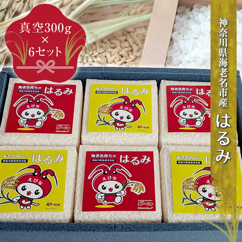 【ふるさと納税】神奈川県海老名市産はるみ　真空300g×6セット【 お米 神奈川県 海老名市 】