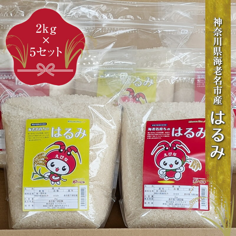 【ふるさと納税】神奈川県海老名市産はるみ　2kg×5セット【 お米 神奈川県 海老名市 】