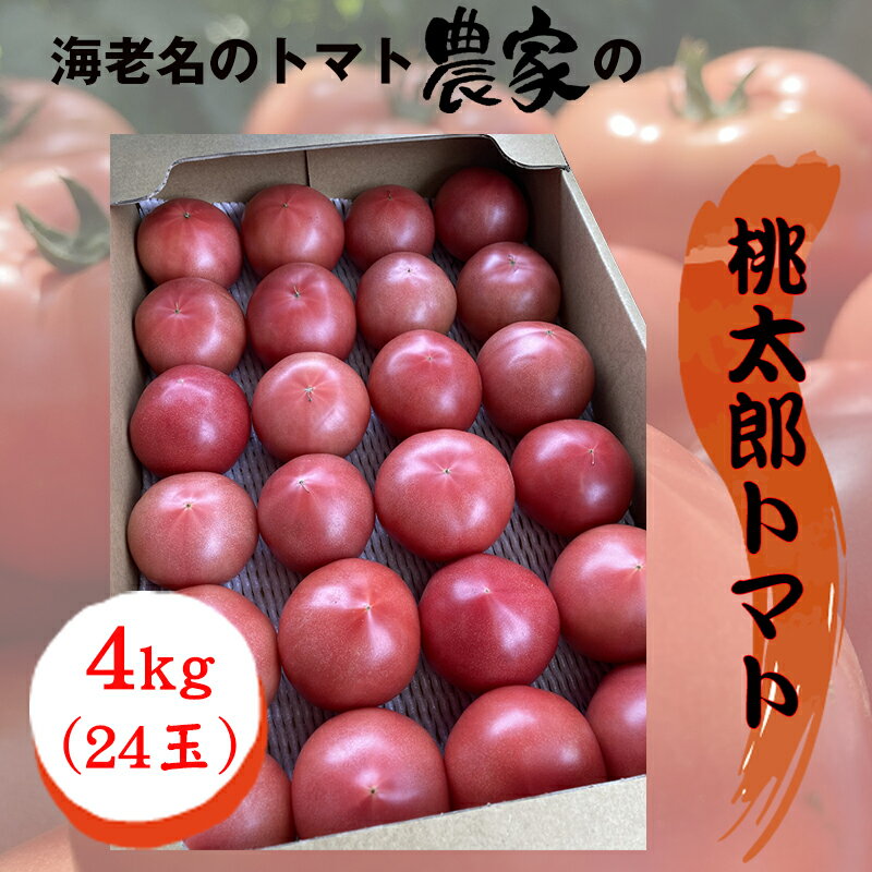 【ふるさと納税】★2026年収穫分　数量限定　先行予約★海老名のトマト農家の桃太郎トマト　4kg（24玉）..
