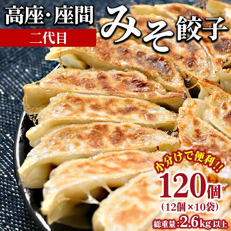 17位! 口コミ数「0件」評価「0」高座・座間みそ餃子（二代目）120個（12個×10袋）｜ ぎょうざ ギョウザ 味噌 おつまみ おかず 惣菜 簡単調理 中華 グルメ お取り寄･･･ 