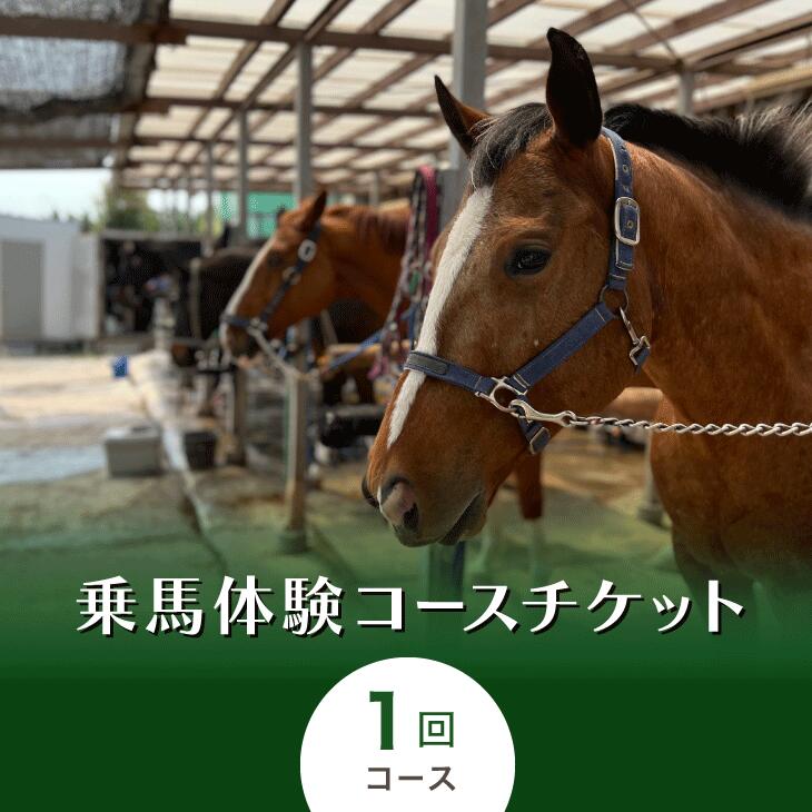 乗馬体験コースチケット1回コース|乗馬体験 レンタル付 乗馬 乗馬散歩 馬 自然 初心者 安心 スポーツ アウトドア