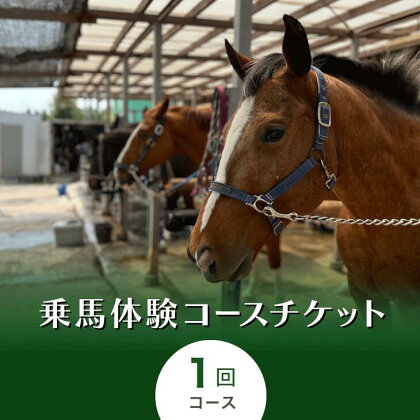 乗馬体験コースチケット1回コース｜乗馬体験 レンタル付 乗馬 乗馬散歩 馬 自然 初心者 安心 スポーツ アウトドア