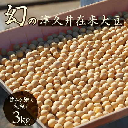 座間市産　津久井在来大豆　3kg｜ ヘルシー プロテイン イソフラボン 大豆 国産 無添加 業務用